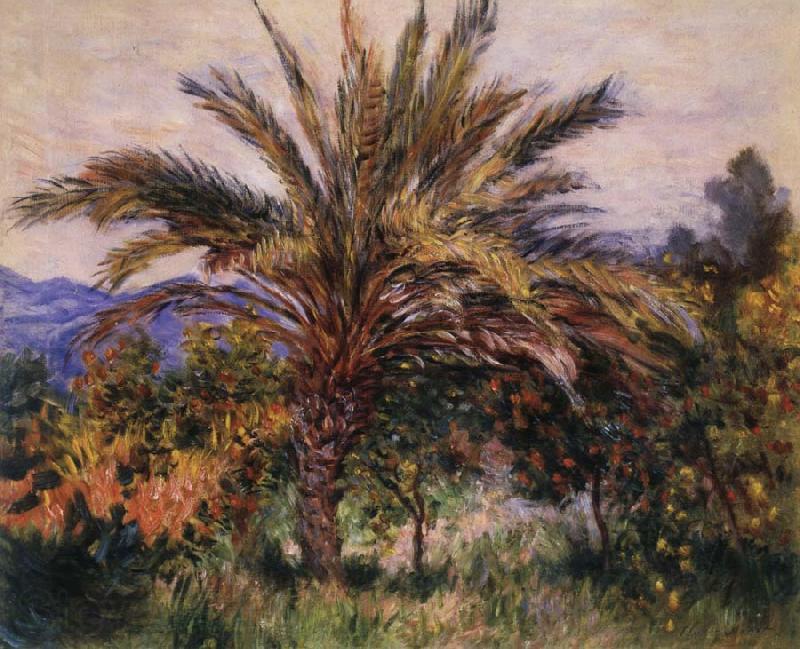 Claude Monet A Palm Tree at Bordighera France oil painting art